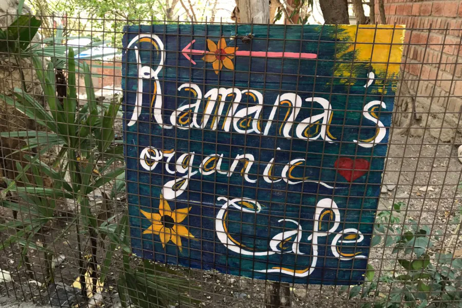 Hand-painted Ramana's Organic Cafe sign in Rishikesh