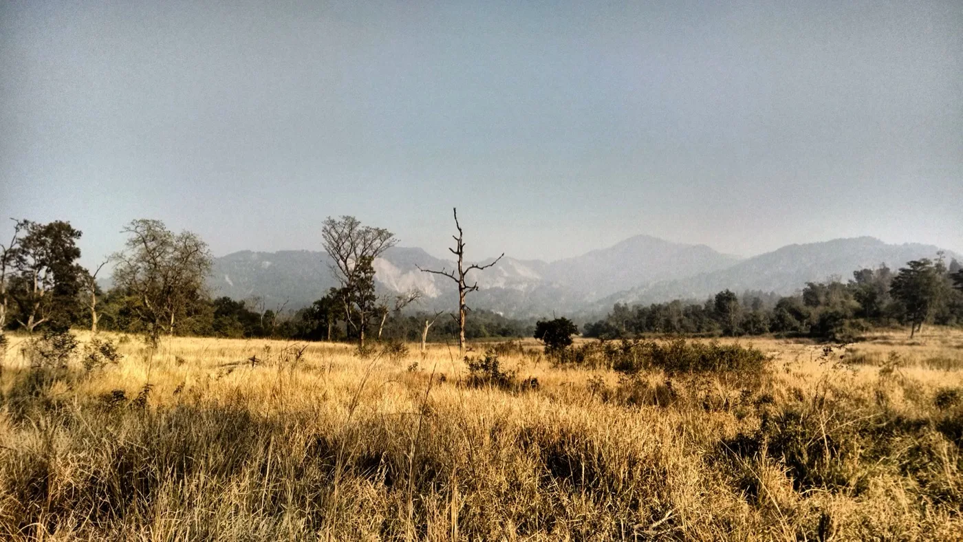 Chilla Canal Viewpoint near Rishikesh